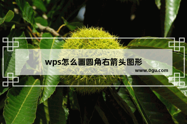 wps怎么画圆角右箭头图形