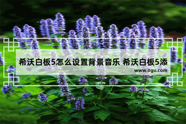 希沃白板5怎么设置背景音乐 希沃白板5添加背景音乐的方法