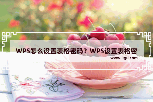 WPS怎么设置表格密码？WPS设置表格密码的方法