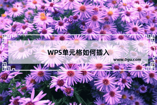 WPS单元格如何插入