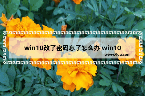 win10改了密码忘了怎么办 win10改了密码忘了怎么办解锁