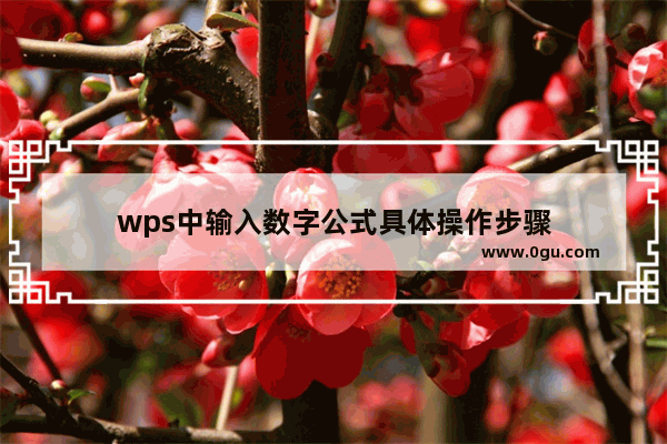 wps中输入数字公式具体操作步骤