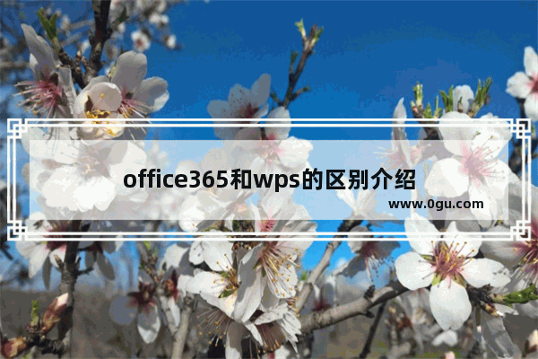 office365和wps的区别介绍