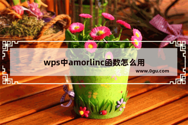 wps中amorlinc函数怎么用