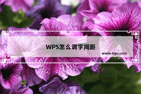 WPS怎么调字间距