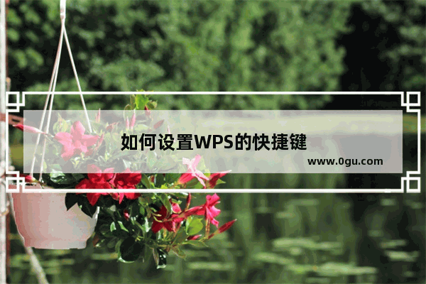 如何设置WPS的快捷键