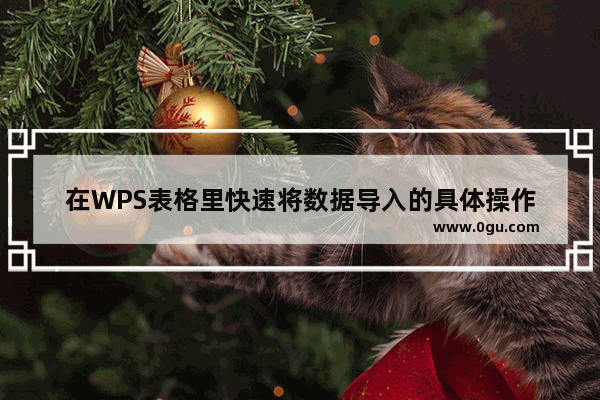 在WPS表格里快速将数据导入的具体操作