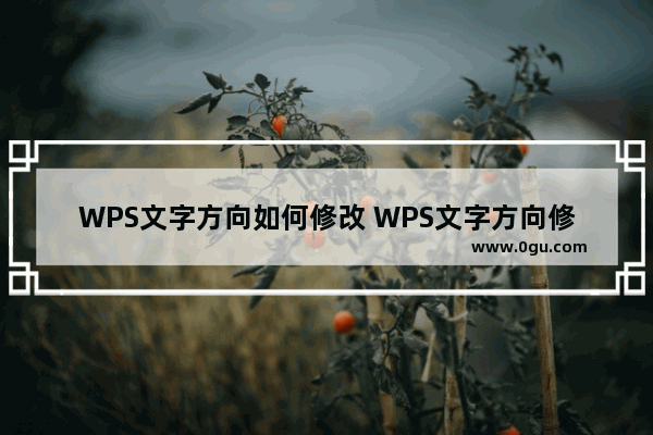 WPS文字方向如何修改 WPS文字方向修改方法