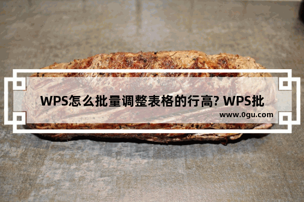 WPS怎么批量调整表格的行高? WPS批量调整表格的行高操作步骤