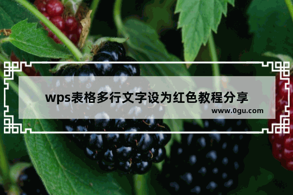 wps表格多行文字设为红色教程分享