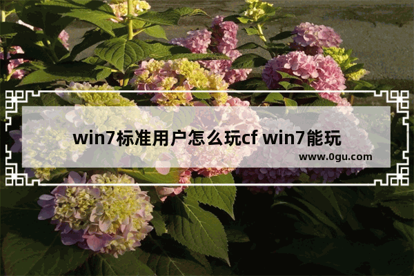 win7标准用户怎么玩cf win7能玩cf