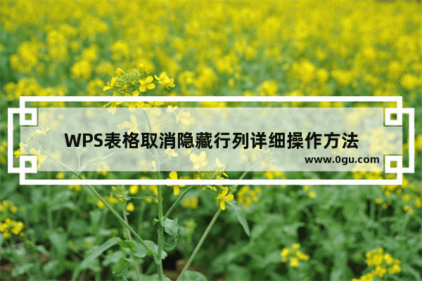 WPS表格取消隐藏行列详细操作方法