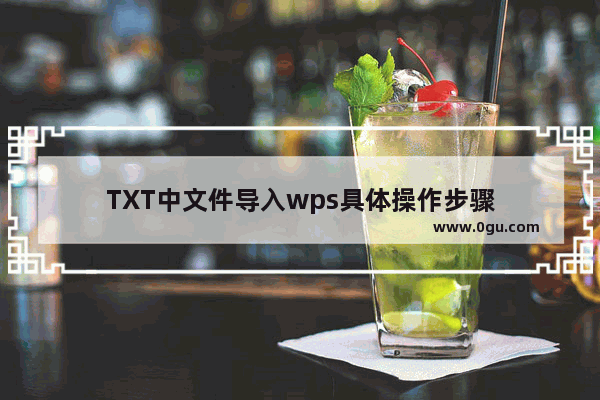 TXT中文件导入wps具体操作步骤