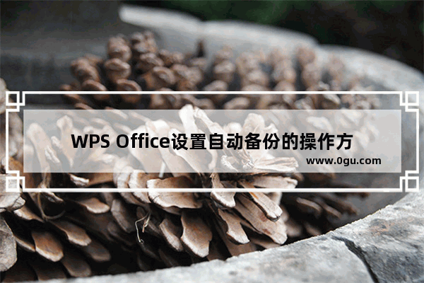 WPS Office设置自动备份的操作方法