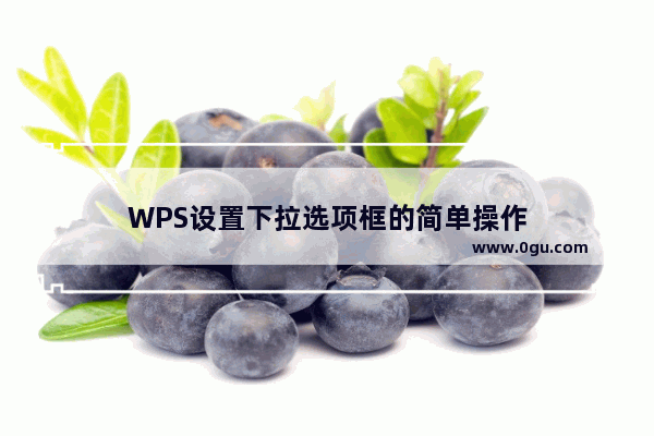 WPS设置下拉选项框的简单操作