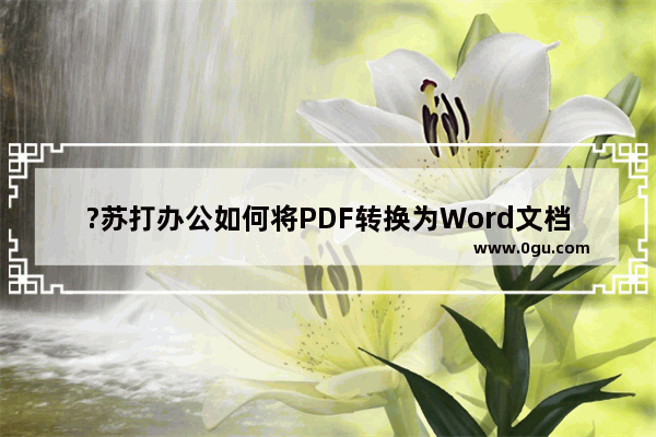 ?苏打办公如何将PDF转换为Word文档 苏打办公将PDF转为Word可编辑格式的方法教程