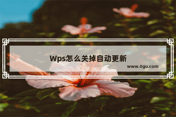 Wps怎么关掉自动更新