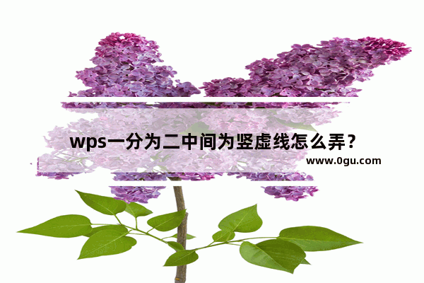 wps一分为二中间为竖虚线怎么弄？