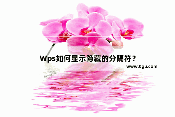 Wps如何显示隐藏的分隔符？