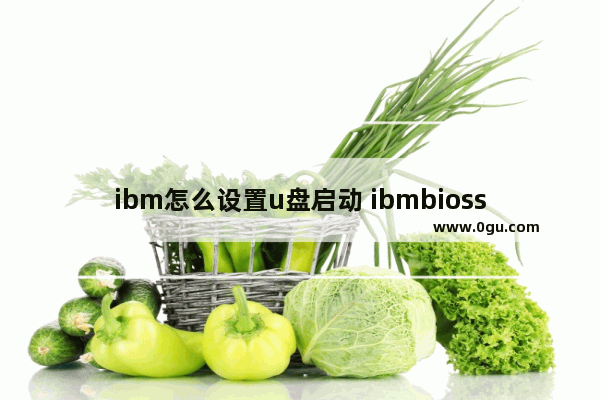 ibm怎么设置u盘启动 ibmbiossetuputility u盘启动