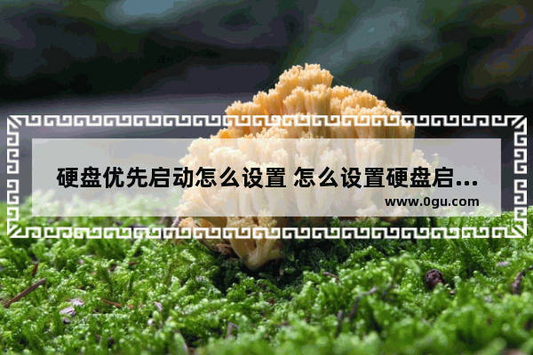 硬盘优先启动怎么设置 怎么设置硬盘启动优先级