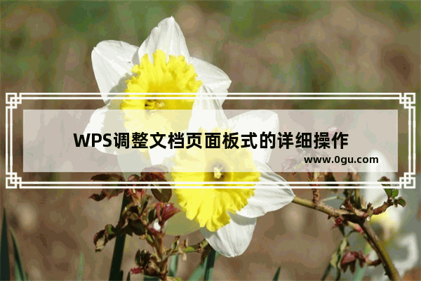 WPS调整文档页面板式的详细操作