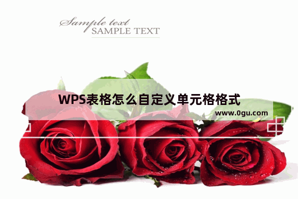 WPS表格怎么自定义单元格格式