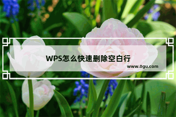 WPS怎么快速删除空白行