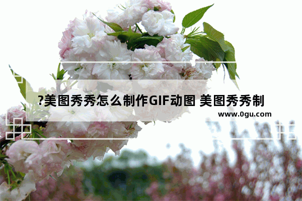 ?美图秀秀怎么制作GIF动图 美图秀秀制作gif动态图的方法教程