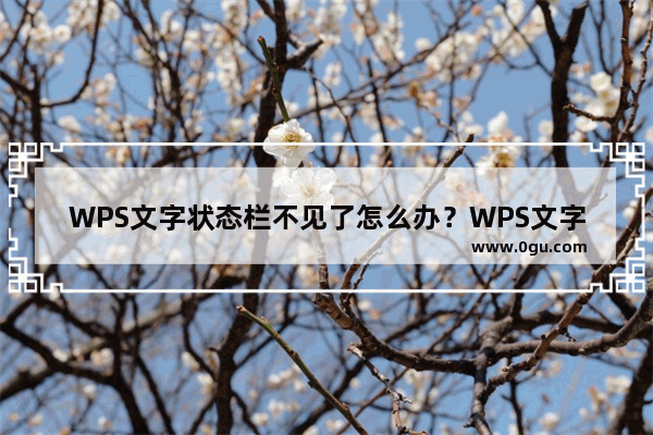 WPS文字状态栏不见了怎么办？WPS文字状态栏在哪打开