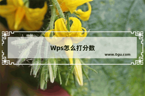 Wps怎么打分数