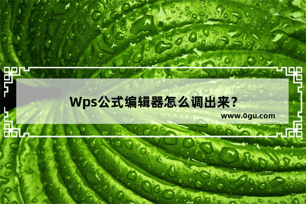 Wps公式编辑器怎么调出来？