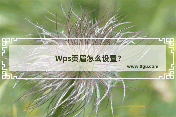 Wps页眉怎么设置？