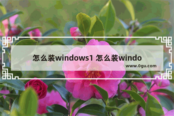 怎么装windows1 怎么装windows11专业版