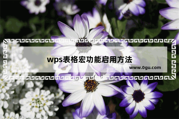 wps表格宏功能启用方法