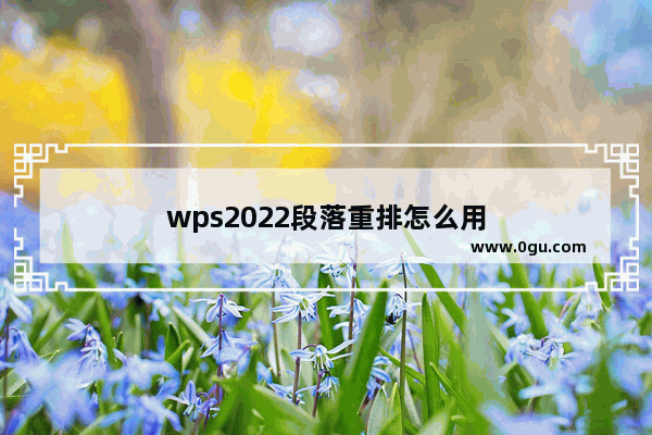 wps2022段落重排怎么用