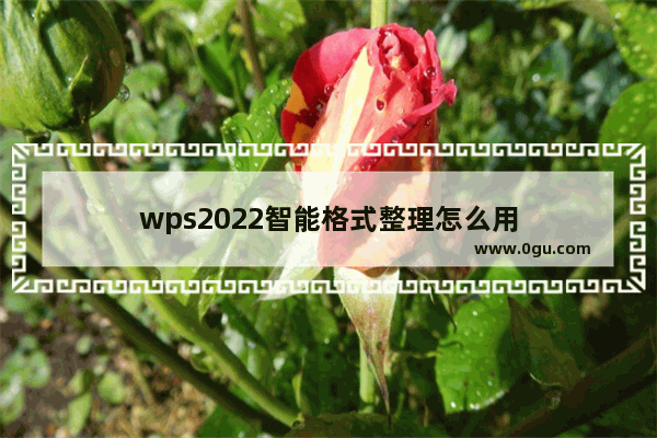 wps2022智能格式整理怎么用