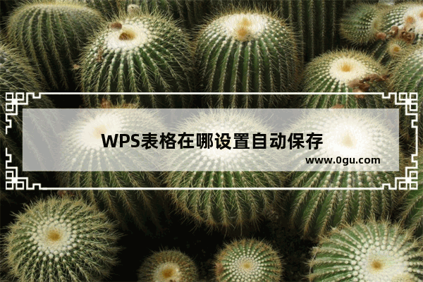 WPS表格在哪设置自动保存