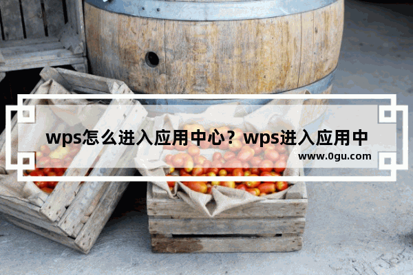 wps怎么进入应用中心？wps进入应用中心的方法