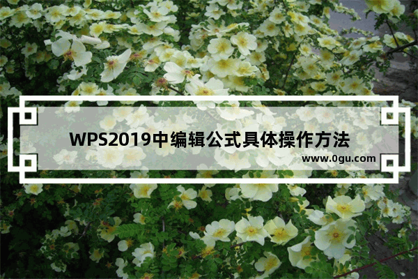 WPS2019中编辑公式具体操作方法