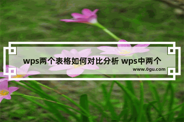 wps两个表格如何对比分析 wps中两个表格并排对比数据的方法