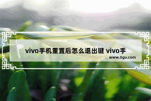 vivo手机重置后怎么退出键 vivo手机恢复出厂设置怎么退出