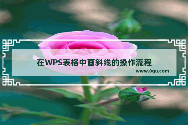 在WPS表格中画斜线的操作流程