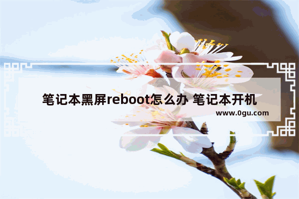 笔记本黑屏reboot怎么办 笔记本开机黑屏reboot and