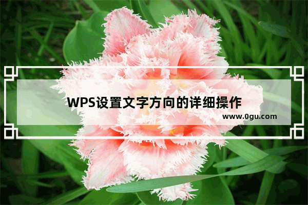 WPS设置文字方向的详细操作