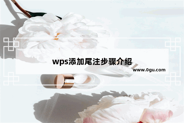 wps添加尾注步骤介绍