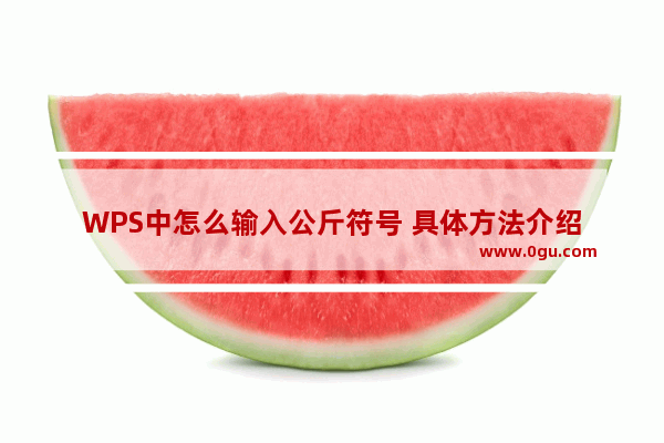 WPS中怎么输入公斤符号 具体方法介绍