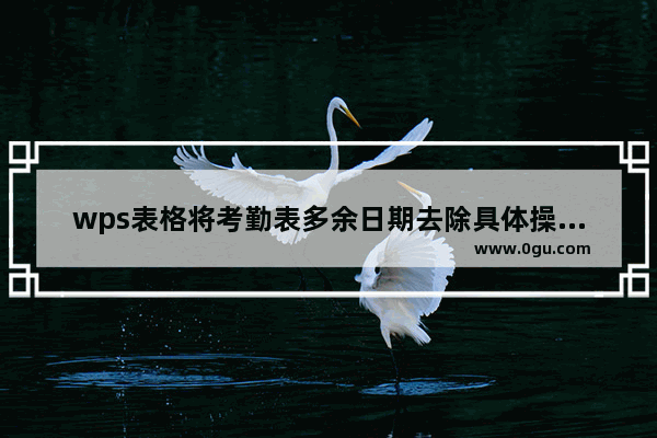 wps表格将考勤表多余日期去除具体操作步骤