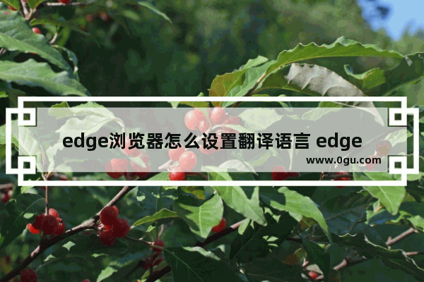 edge浏览器怎么设置翻译语言 edge浏览器切换翻译语言的方法