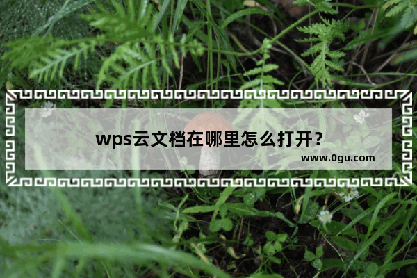 wps云文档在哪里怎么打开？